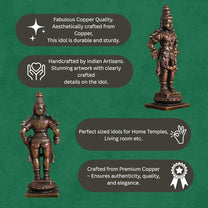 Lord Vishnu Idol | Antique Brass Finish Narayana Murti