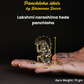 70 gm Lakshmi Narasimha Panchloha Idol | Size 5 × 3 × 3 CM | Handcrafted Divine Form for Home & Temple Décor