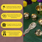 Brass Puja Set | 8 Pcs Traditional Pooja Kit with Diya, Bell, Kalash, Spoon, Bowls & Incense Holder