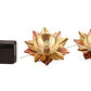 lotus lighting deepa- 1+1